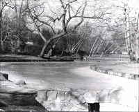 Photo only available in the library